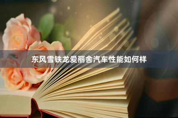 东风雪铁龙爱丽舍汽车性能如何样