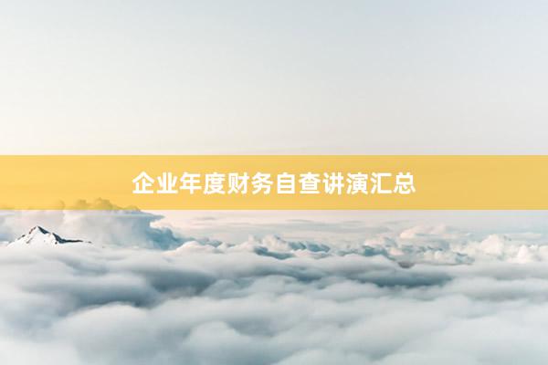 企业年度财务自查讲演汇总